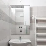 Miniszilva *