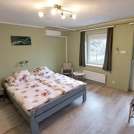 Apartament Miniszilva *