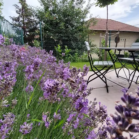 Miniszilva Apartament *